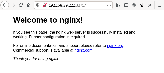 Acceso a nginx